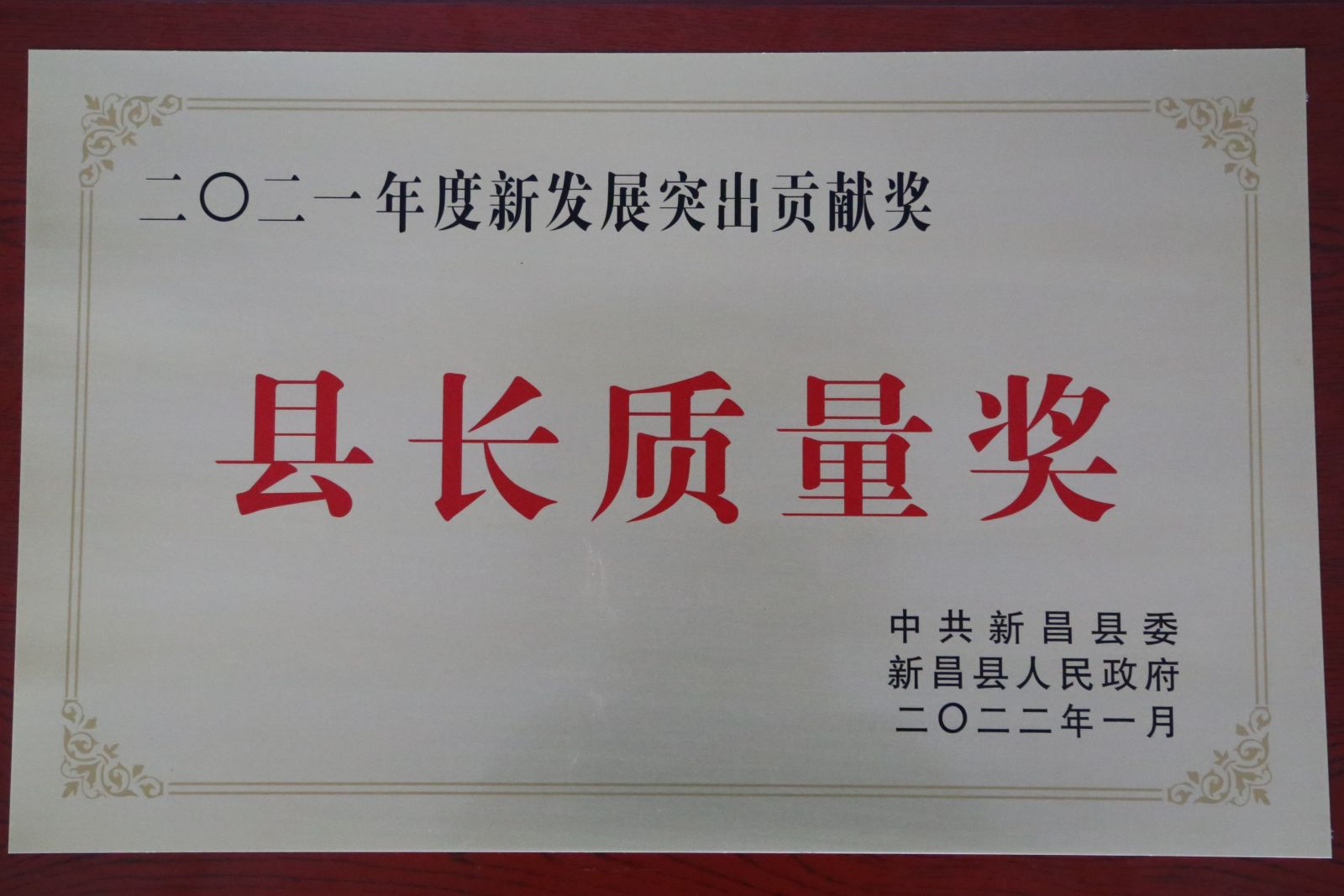 bevictorΰ�¹��� - Τ�¹ٷ���վ