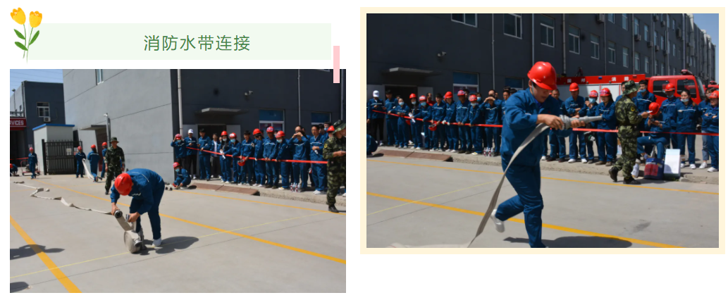 bevictorΰµÂ¹ÙÍø - ΤµÂ¹Ù·½ÍøÕ¾