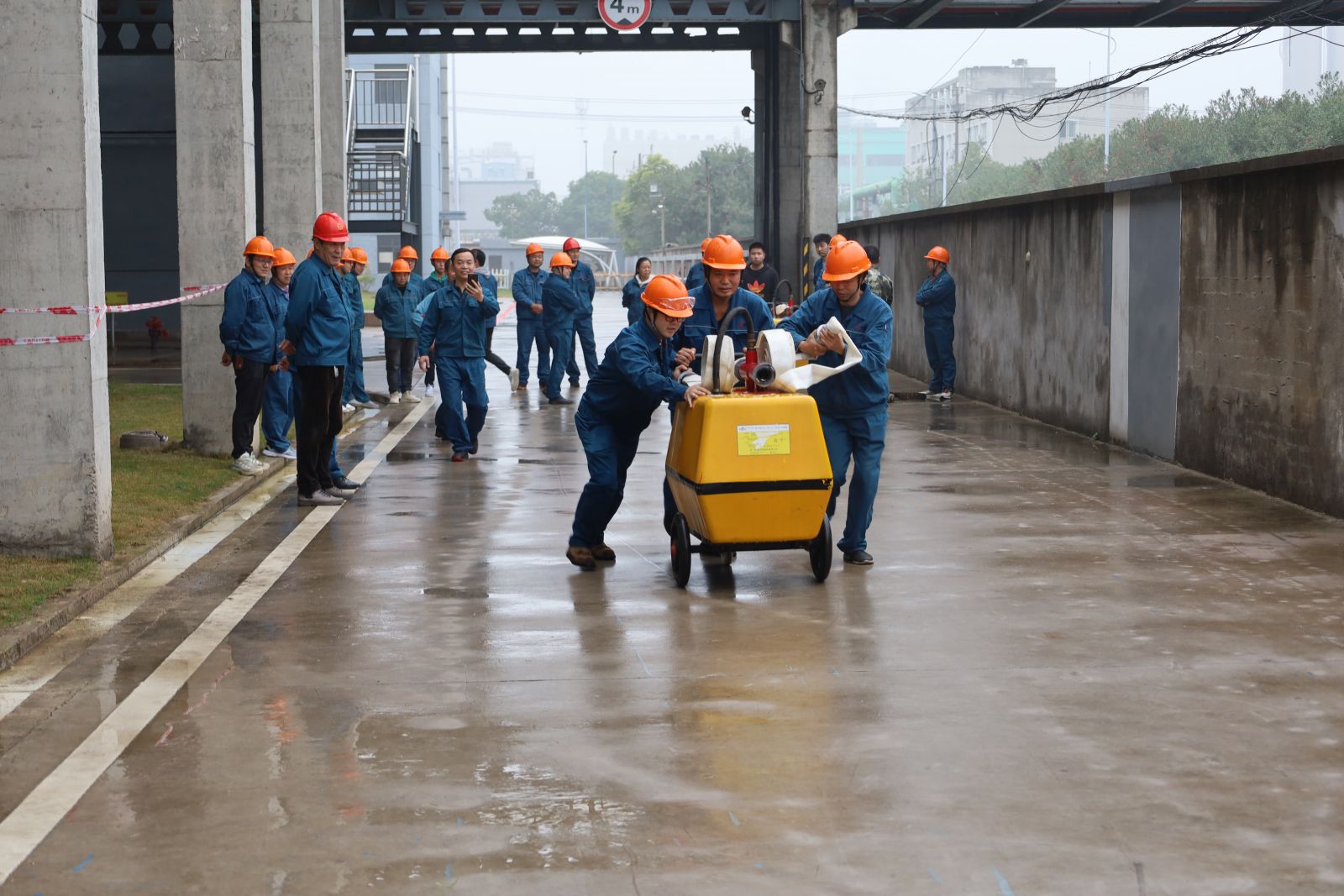 bevictor伟德官网 - 韦德官方网站