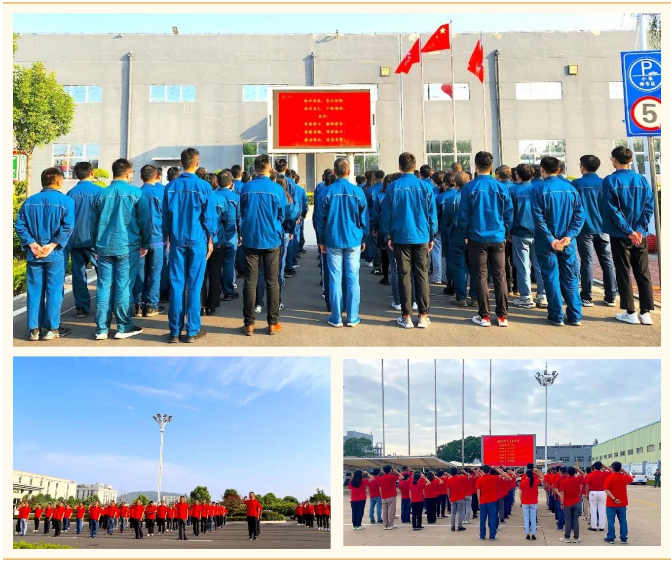 bevictor伟德官网 - 韦德官方网站