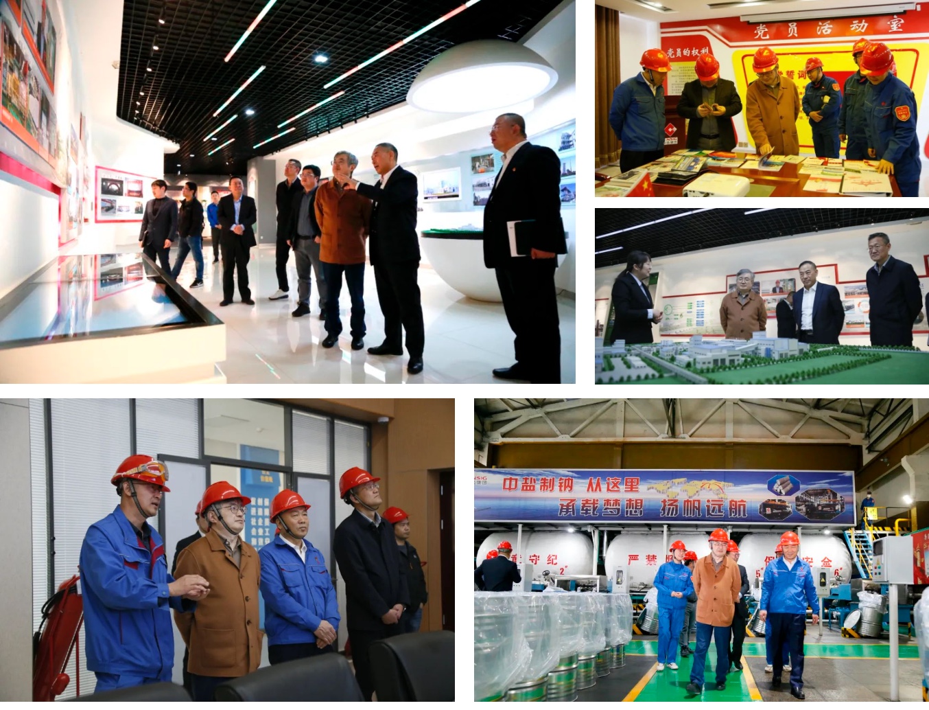 bevictorΰµÂ¹ÙÍø - ΤµÂ¹Ù·½ÍøÕ¾